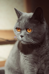 Similar image 10445486