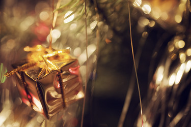 Similar image 10445489