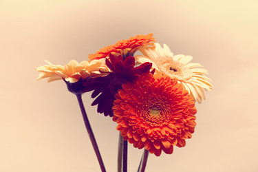 Similar image 10445495