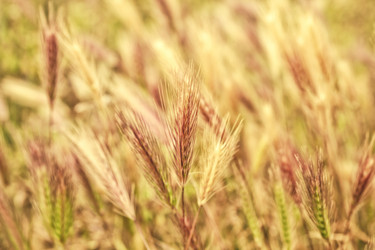 Similar image 10445505