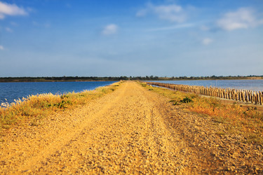 Similar image 10445506