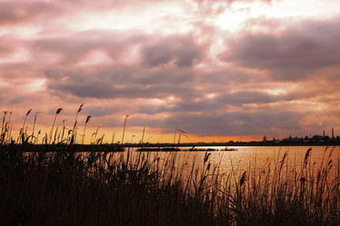 Similar image 10445509