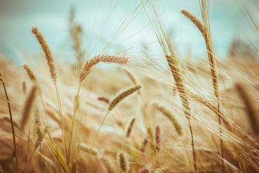 Similar image 10445648