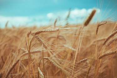 Similar image 10445650