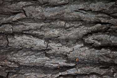 Similar image 10445655