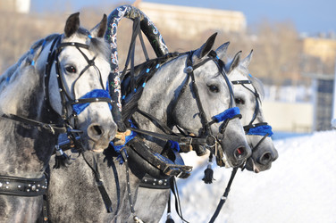 Similar image 10445677