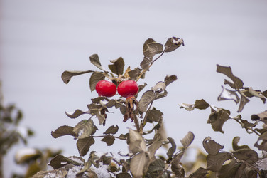 Similar image 10445678