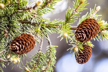 Similar image 10445679