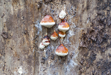 Similar image 10445694