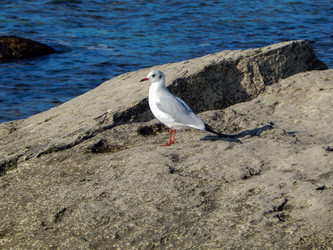 Similar image 10445715