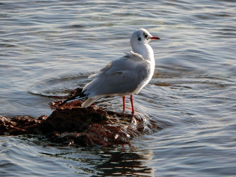 Similar image 10445717