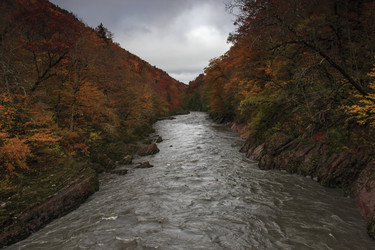 Similar image 10445745