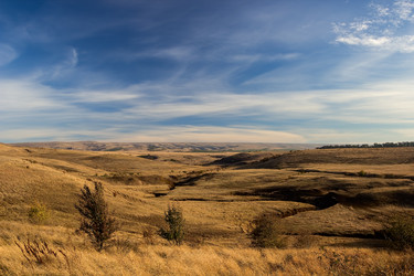 Similar image 10445750