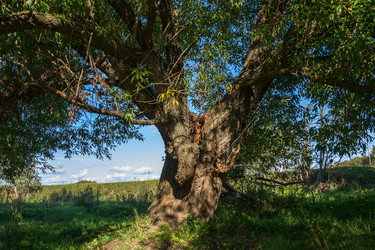 Similar image 10445752