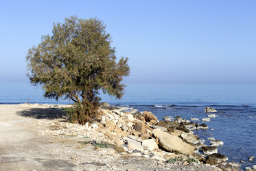 Similar image 10445756