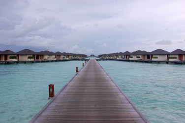 Similar image 10445788