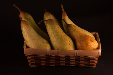 Similar image 10445799