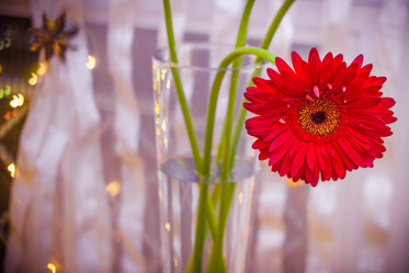 Similar image 10445805