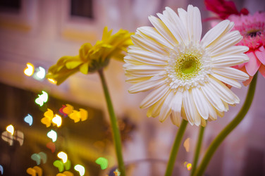 Similar image 10445806