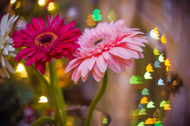 Similar image 10445807