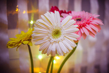 Similar image 10445808