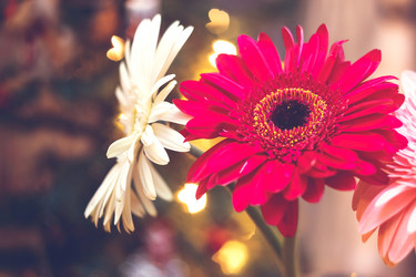 Similar image 10445810