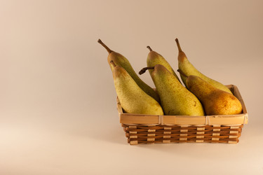 Similar image 10445819