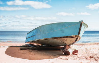 Similar image 10445841