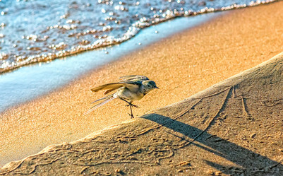 Similar image 10445842