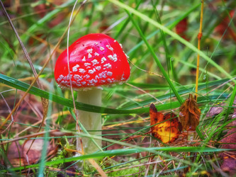 Similar image 10445844