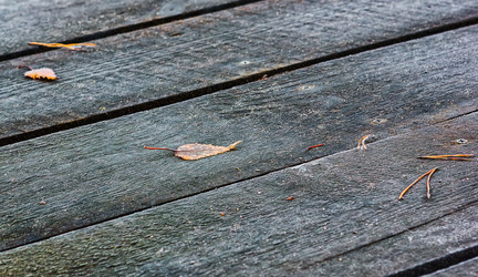 Similar image 10445847