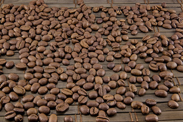 Similar image 10445853