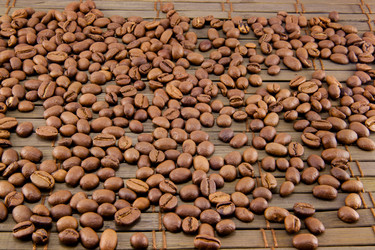 Similar image 10445868