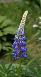 Similar image 10445974