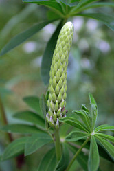 Similar image 10445975