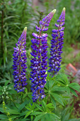 Similar image 10445977