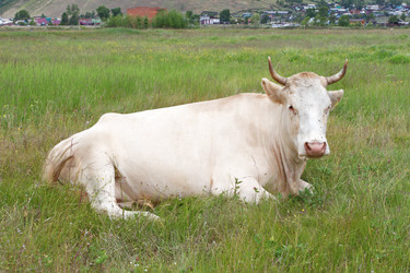 Similar image 10446008