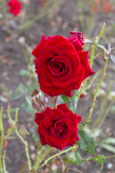 Similar image 10446013