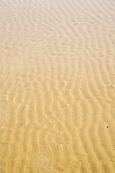 Similar image 10446177