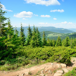 Similar image 10446195