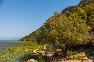 Similar image 10446214