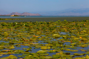 Similar image 10446215