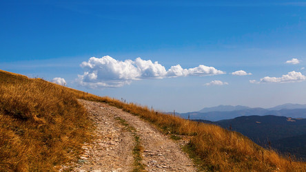 Similar image 10446219