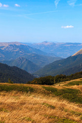 Similar image 10446221