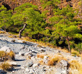 Similar image 10446273