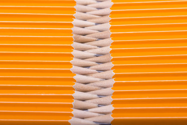 Similar image 10446293