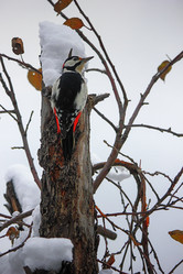 Similar image 10446299