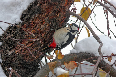 Similar image 10446301