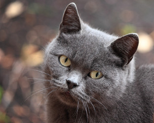 Similar image 10446302