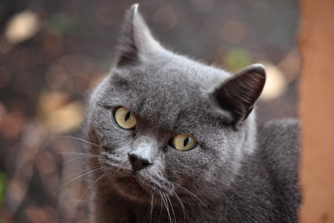 Similar image 10446303